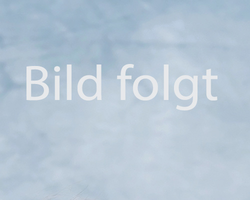 Teambild Platzbild